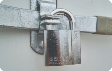 Enforcer equipment lock
